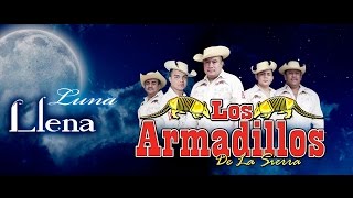 Los Armadillos de la Sierra fiesta patronal [upl. by Ceevah]