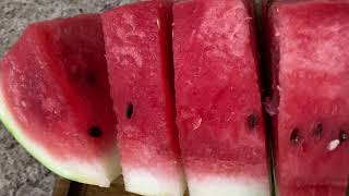 Watermelon Citrullus lanatus [upl. by Favin20]