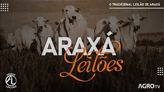 ARAXÁ LEILÕES AO VIVO  ARAXÁ MG [upl. by Notna]