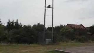 2007 test of an Essex flood warning siren [upl. by Annovahs]