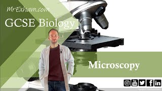 Microscopy  GCSE Biology 91 13 [upl. by Ikim]