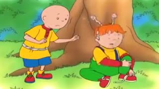 Caillou en Français  3 Heures  Caillou Fait Mal à Leo  dessin animé  conte pour enfant [upl. by Keary]