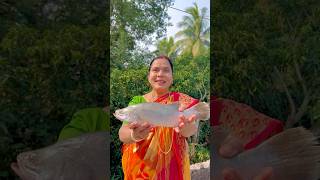 Bhetki Macher Begam Bahar Recipe  Barramundi Fish Recipe shorts fish fishrecipe fishfry [upl. by Eltsryk625]