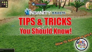 Insanity FLYFF  Tips You Need to Know as Beginners [upl. by Remat]