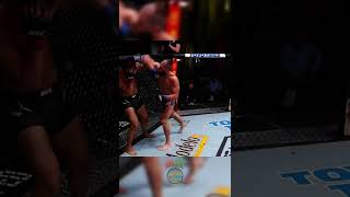 Jiří Procházka after knocking out dominick reyes [upl. by Isewk]