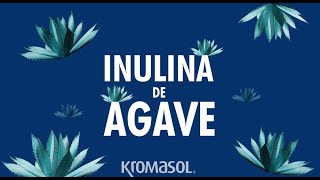 Galletas Digestivas con Inulina de Agave 🍪 Receta [upl. by Gare250]