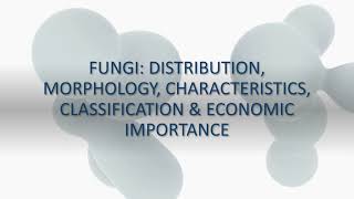 Fungi Distribution Morphology Characteristics Classification amp Economic Importance [upl. by Ahsrav691]