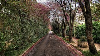 152 Filothei 1hr walk in Athens Greece [upl. by Crim620]