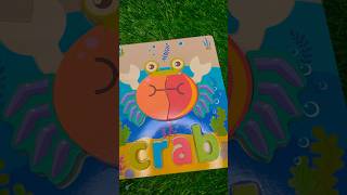 Crabby puzzle [upl. by Lemmor266]