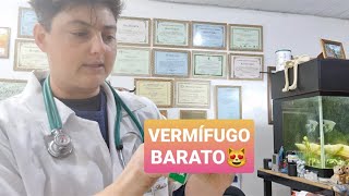 VERMÍFUGO BOM E BARATO PARA GATOS [upl. by Rebmyt]