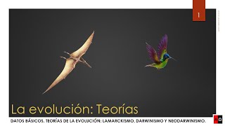 La evolución Teorías [upl. by Bethanne446]