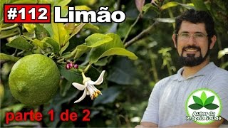 Autor da Própria Saúde  Limão parte1 diabetes hipertensão câncer colesterol gastrite [upl. by Melan718]