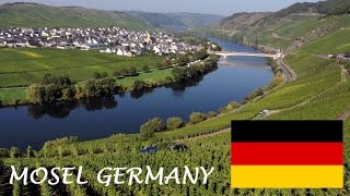 Mosel Wine tourism German Riesling Wine Moselle Valley Germany wines DeutschlandTourismus Travel [upl. by Adliw]