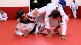 Romulo Barral Seminar at Honor Roll BJJ Academy [upl. by Ibocaj]