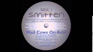 Ddr amp The Geezer  Mad Cows on Acid Rozzers dog mix [upl. by Eirrac]