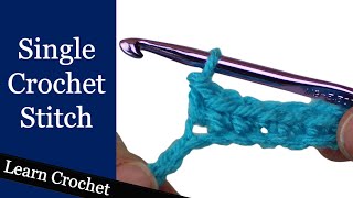 Single Crochet Stitch  Beginner Course Lesson 6 [upl. by Elias]