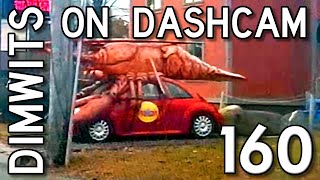 Dimwits On Dashcam  Vol 160 [upl. by Chamkis]