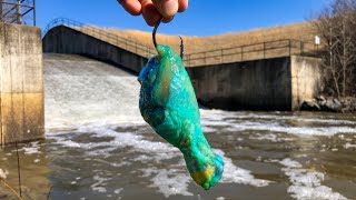 Almost SPOOLED by a SPILLWAY MONSTER [upl. by Gombach64]