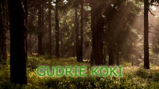 Gudrie koki  audio pasaka [upl. by Eden]