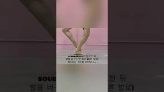 비에이발레 ballet jump Entrechat trois 발레점프 [upl. by Aihsel]