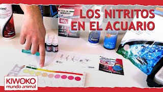 ⚠️Nitritos en el acuario NO2⚠️ Cómo medirlos y cómo eliminarlos [upl. by Ardnaeel]