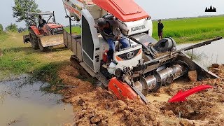 ម៉ាស៊ីនច្រូតជាប់ផុង  Harvester Vs Muddy  Rice Harvester Stuck In Mud Pulling By Tractor [upl. by Acirred]