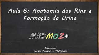 Aula 6 Anatomia dos rins e formação da urina Fisiologia Renal [upl. by Ailehc]