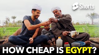 How Cheap Is Egypt 212 [upl. by Helge142]