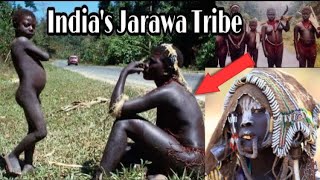 Andaman and nicobar Tribes video andaman jarawa [upl. by Aralomo914]