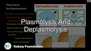 Plasmolysis And Deplasmolysis Biology Lecture  Sabaqpk [upl. by Aneroc]