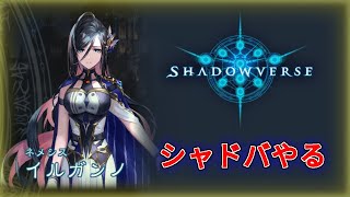 【Shadowverse】ローテランク、ルムマもいいぞ！ [upl. by Ycnaf]