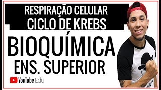 Respiração Celular CICLO DE KREBS  Aula Ensino Superior  Prof Patrick Gomes [upl. by Ttennaej]