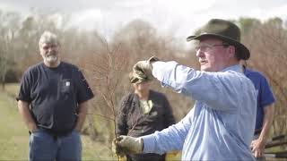 HandsOn Blueberry Pruning Workshop North Carolina [upl. by Gregorio]