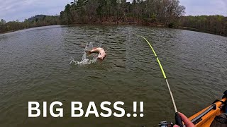 Huge Largemouth Bass And Jumbo Crappie On A Paddle Tail [upl. by Asseram]