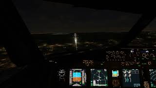 Ezeiza Argentina  LANDING  B737 4K  Ezeiza Int Airport SAEZ   MSFS2020 [upl. by Barb]