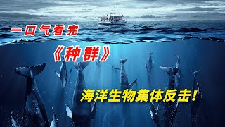 【阿奇】未知智慧种群操控海洋袭击人类，一口气看完2023年灾难惊悚片《种群》 [upl. by Beryle483]