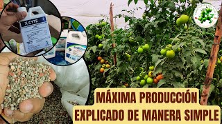 Todo lo que necesitas saber sobre producción de frutos en 6 minutos [upl. by O'Toole797]