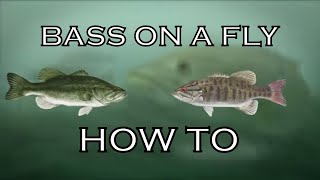 Bass On A Fly  How To [upl. by Raimes]