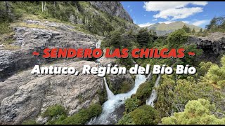 SENDERO LAS CHILCAS en el PARQUE NACIONAL LAGUNA DEL LAJA  Antuco Bío Bío 🇨🇱  Cata Viajera [upl. by Balthasar245]