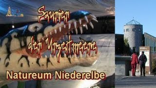 Balje Natureum Niederelbe  DinosaurierAusstellung [upl. by Enilarak]