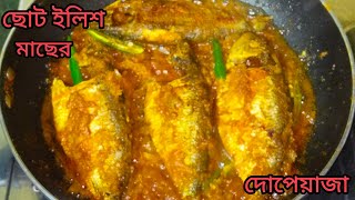 ছোট ইলিশ মাছের দোপিয়াজা l llish Macher dopyaza।Hilsa fish dopiaza recipe। Boishakhi recipe [upl. by Arrol57]