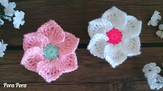 Crochet Flower I Crochet 6 Petals Flower I Crochet 3D Flower [upl. by Ahsurej406]