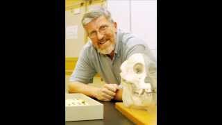 Bernard Wood The Homo habilis and the origin of modern humans [upl. by Conard92]