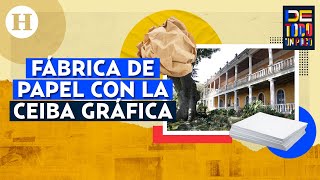 ¡Papel hecho a mano La Ceiba Gráfica en Veracruz preserva viva esta tradición [upl. by Mehta]