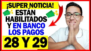 ¡Super Noticia Ingreso Solidario Ya están habilitados y en Banco giro 28 y 29  Sólo esperar día [upl. by Enimsay]