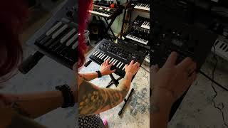 KORG Mini Sound Demo TapeSine Preset on KORG minilogue xd Inverted [upl. by Pietra]