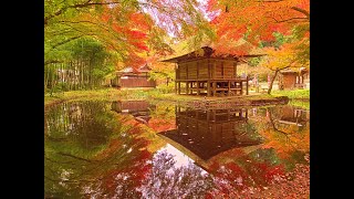 JG☆☆☆☆☆8K HDR 岩手 平泉中尊寺の紅葉国宝世界遺産 IwateHiraizumi Chusonji in AutumnWorld Heritage [upl. by Tessi]