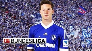 Julian Draxler  Top 5 Goals [upl. by Aysan35]