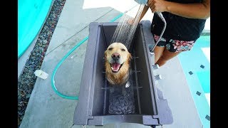 PUPPY LOVES HIS NEW CUSTOM DOG BATH  Super Cooper Sunday 157 [upl. by Enytsirhc]