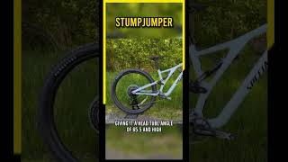 2023 Specialized Stumpjumper Alloy An Impressive Trail Bike Upgrade [upl. by Files]